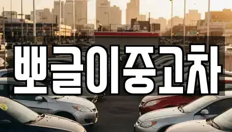 강원 강릉시 내곡동 중고차매매 전문 뽀글이중고차