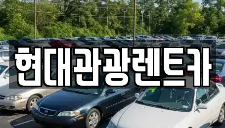 강원 고성군 토성면 렌트카 전문 현대관광렌트카