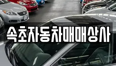강원 고성군 토성면 중고차 전문 속초자동차매매상사
