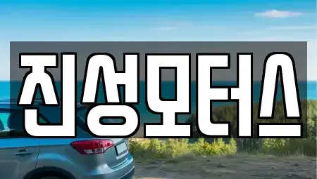 강원 고성군 토성면 중고차 전문 진성모터스