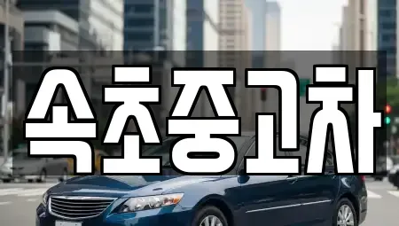 강원 고성군 토성면 중고차매매 전문 속초중고차