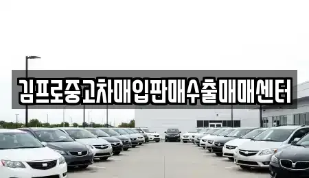 강원 고성군 토성면 중고차매입 전문 김프로중고차매입판매수출매매센터