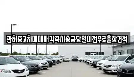 강원 삼척시 하장면 중고차 전문 관허중고차매매매각즉시송금당일이전무료출장견적