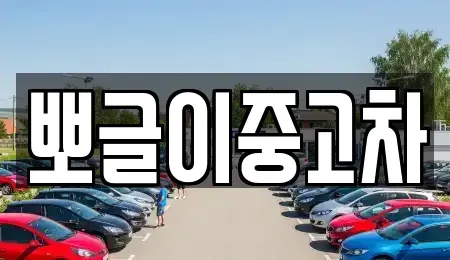 강원 삼척시 하장면 중고차 전문 뽀글이중고차