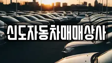 강원 속초시 장사동 중고차 전문 신도자동차매매상사