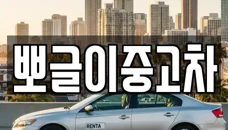 강원 속초시 장사동 중고차매매 전문 뽀글이중고차