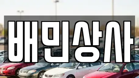 강원 양양군 강현면 중고차매매 전문 배민상사
