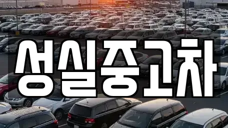 강원 양양군 강현면 중고차매매 전문 성실중고차
