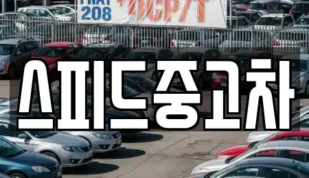 강원 양양군 강현면 중고차매매,단기렌트카,중고차매입,장기렌트카,중고차,렌트카
