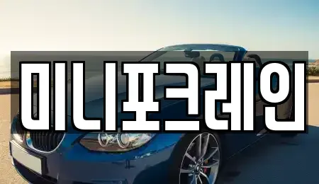 강원 양양군 강현면 중고차매입 전문 미니포크레인