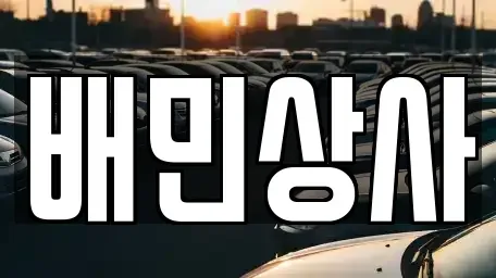 강원 양양군 서면 중고차매매 전문 배민상사