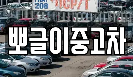 강원 양양군 서면 중고차매매 전문 뽀글이중고차