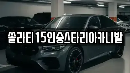 강원 원주시 학성동 렌트카 전문 쏠라티15인승스타리아카니발