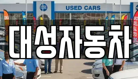 강원 원주시 학성동 중고차 전문 대성자동차