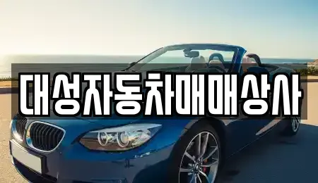 강원 원주시 학성동 중고차 전문 대성자동차매매상사