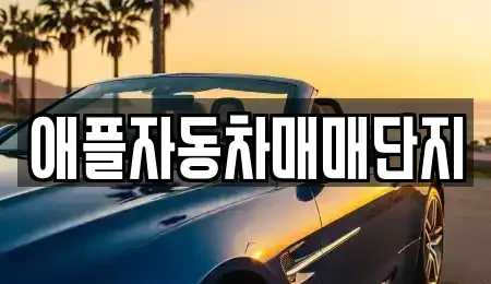 강원 원주시 학성동 중고차 전문 애플자동차매매단지