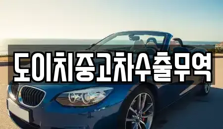 강원 철원군 동송읍 중고차 전문 도이치중고차수출무역