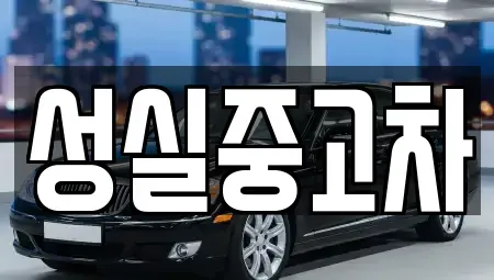 강원 철원군 동송읍 중고차 전문 성실중고차