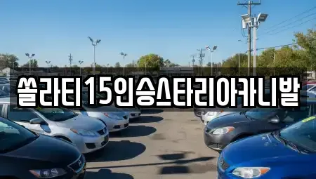 강원 춘천시 운교동 렌트카 전문 쏠라티15인승스타리아카니발