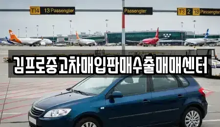 강원 춘천시 운교동 중고차매입 전문 김프로중고차매입판매수출매매센터