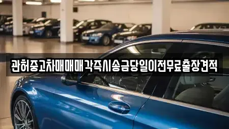 강원특별자치도 강릉시 신석동 중고차매매,단기렌트카,중고차매입,장기렌트카,중고차,렌트카