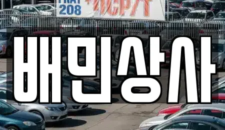 강원특별자치도 삼척시 성북동 중고차매매 전문 배민상사