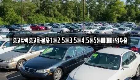 강원특별자치도 삼척시 성북동 중고차매입 전문 중고트럭중고화물차1톤2.5톤3.5톤4.5톤5톤매매매입수출