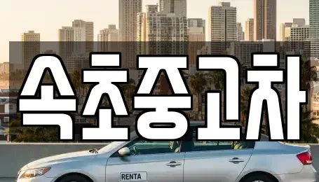 강원특별자치도 속초시 청학동 중고차 전문 속초중고차