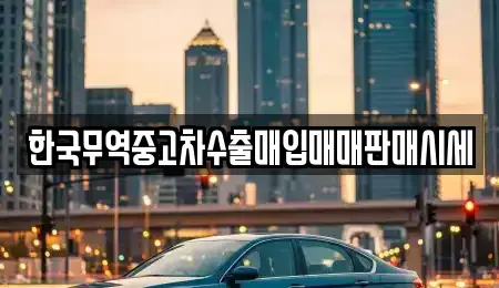 강원특별자치도 속초시 청학동 중고차 전문 한국무역중고차수출매입매매판매시세