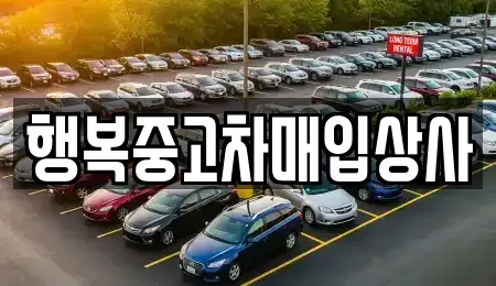 강원특별자치도 속초시 청학동 중고차,렌트카,중고차매입,중고차매매,장기렌트카,단기렌트카