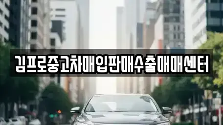 강원특별자치도 속초시 청학동 중고차매입 전문 김프로중고차매입판매수출매매센터