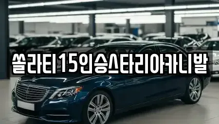 강원특별자치도 춘천시 소양로3가 렌트카 전문 쏠라티15인승스타리아카니발