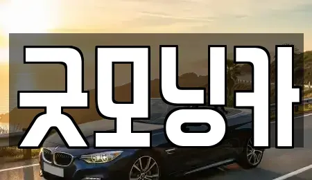 강원특별자치도 춘천시 소양로3가 중고차 전문 굿모닝카