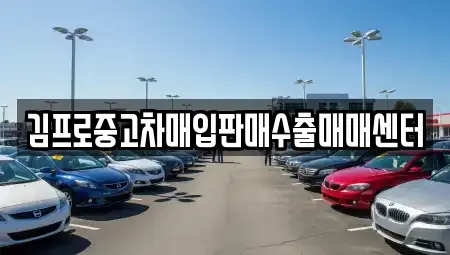 강원특별자치도 춘천시 소양로3가 중고차매입 전문 김프로중고차매입판매수출매매센터