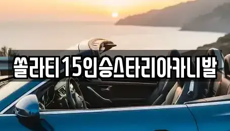 강원특별자치도 춘천시 온의동 렌트카 전문 쏠라티15인승스타리아카니발
