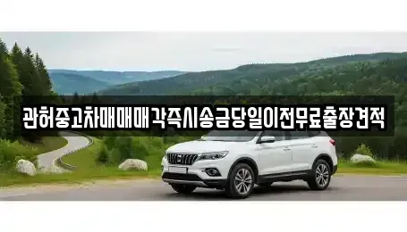 강원특별자치도 춘천시 온의동 중고차 전문 관허중고차매매매각즉시송금당일이전무료출장견적