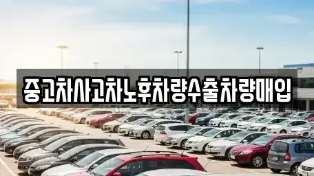 강원특별자치도 춘천시 온의동 중고차 전문 중고차사고차노후차량수출차량매입