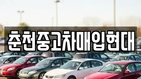 강원특별자치도 춘천시 온의동 중고차 전문 춘천중고차매입현대