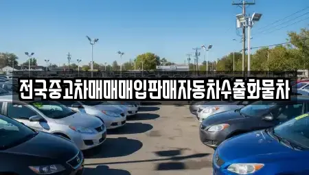 강원특별자치도 춘천시 온의동 중고차매입 전문 전국중고차매매매입판매자동차수출화물차