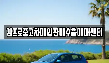 강원특별자치도 화천군 상서면 중고차 전문 김프로중고차매입판매수출매매센터