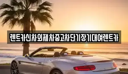 경기 과천시 단기렌트카 전문 렌트카신차외제차중고차단기장기대여렌트카