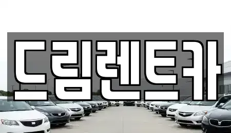 경기 과천시 렌트카 전문 드림렌트카