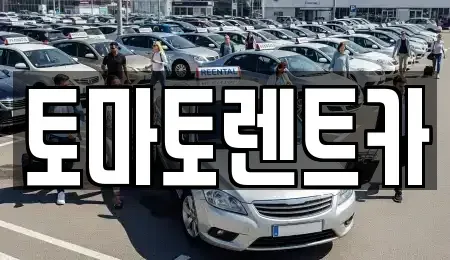 경기 과천시 렌트카 전문 토마토렌트카