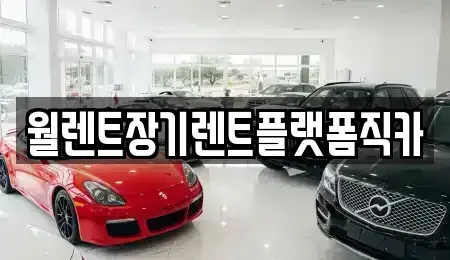 경기 과천시 장기렌트카 전문 월렌트장기렌트플랫폼직카