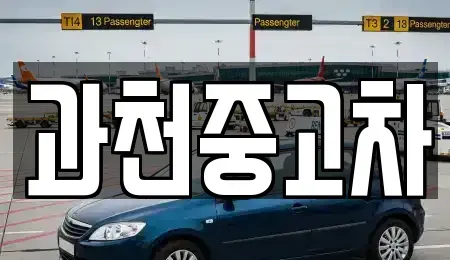 경기 과천시 중고차매매 전문 과천중고차