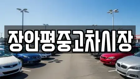 경기 과천시 중고차매매 전문 장안평중고차시장