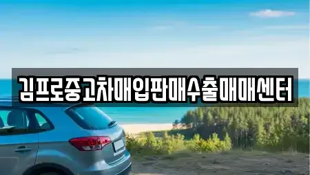 경기 과천시 중고차매입 전문 김프로중고차매입판매수출매매센터