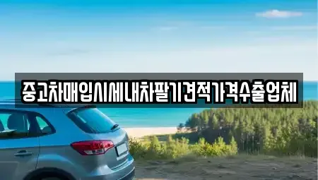 경기 과천시 중고차매입 전문 중고차매입시세내차팔기견적가격수출업체