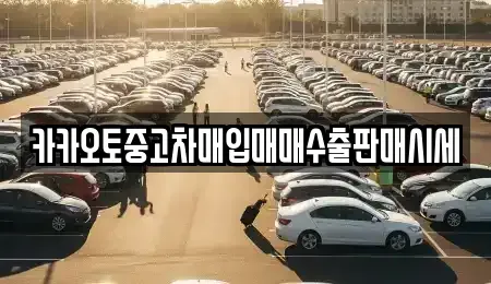 경기 과천시 중고차매입 전문 카카오토중고차매입매매수출판매시세