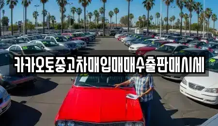 경기 남양주시 이패동 중고차매입 전문 카카오토중고차매입매매수출판매시세